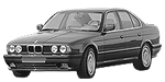 BMW E34 C208D Fault Code